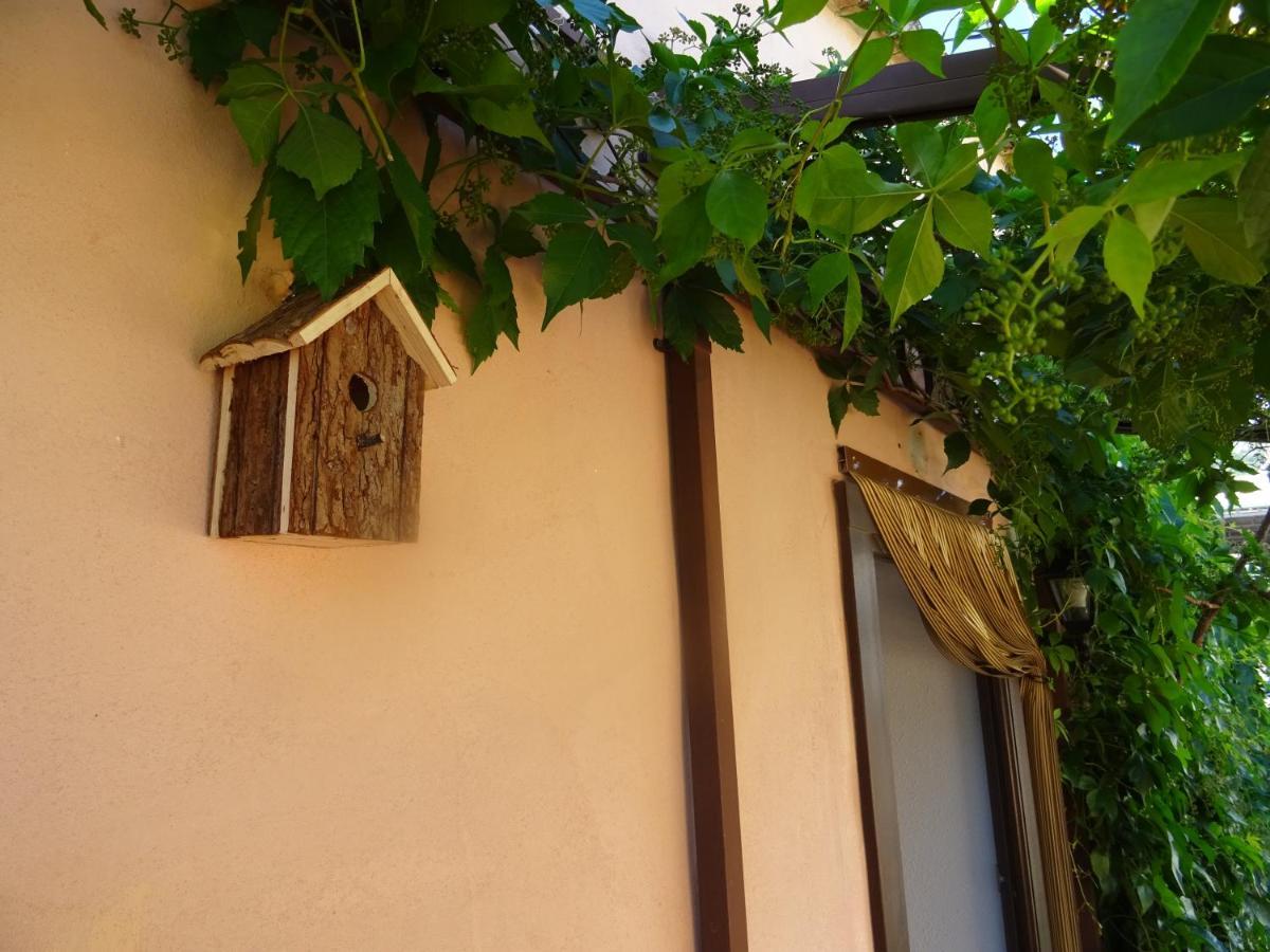 LA MUNTANYA - Apartamentos Rural Guadalest Benimantell Exteriér fotografie